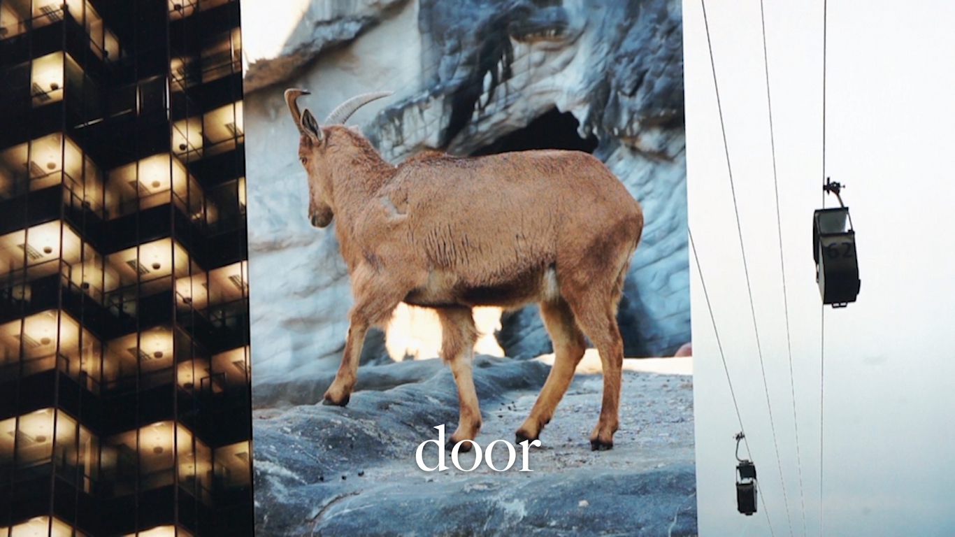 *Naming,* 2017 (still)