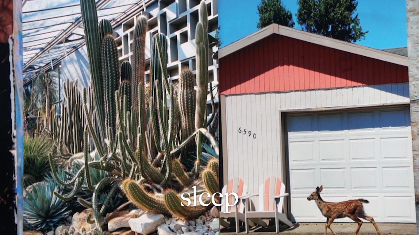 *Naming,* 2017 (still)