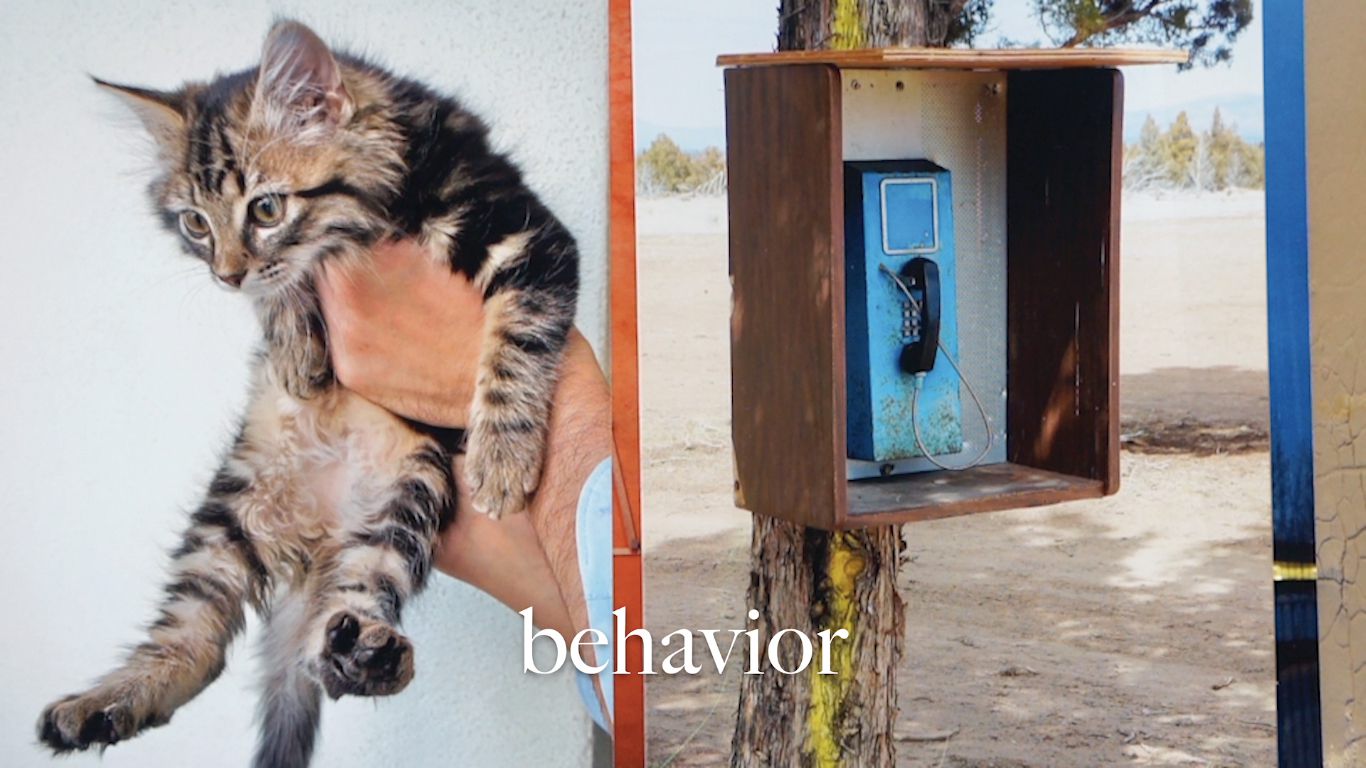 *Naming,* 2017 (still)