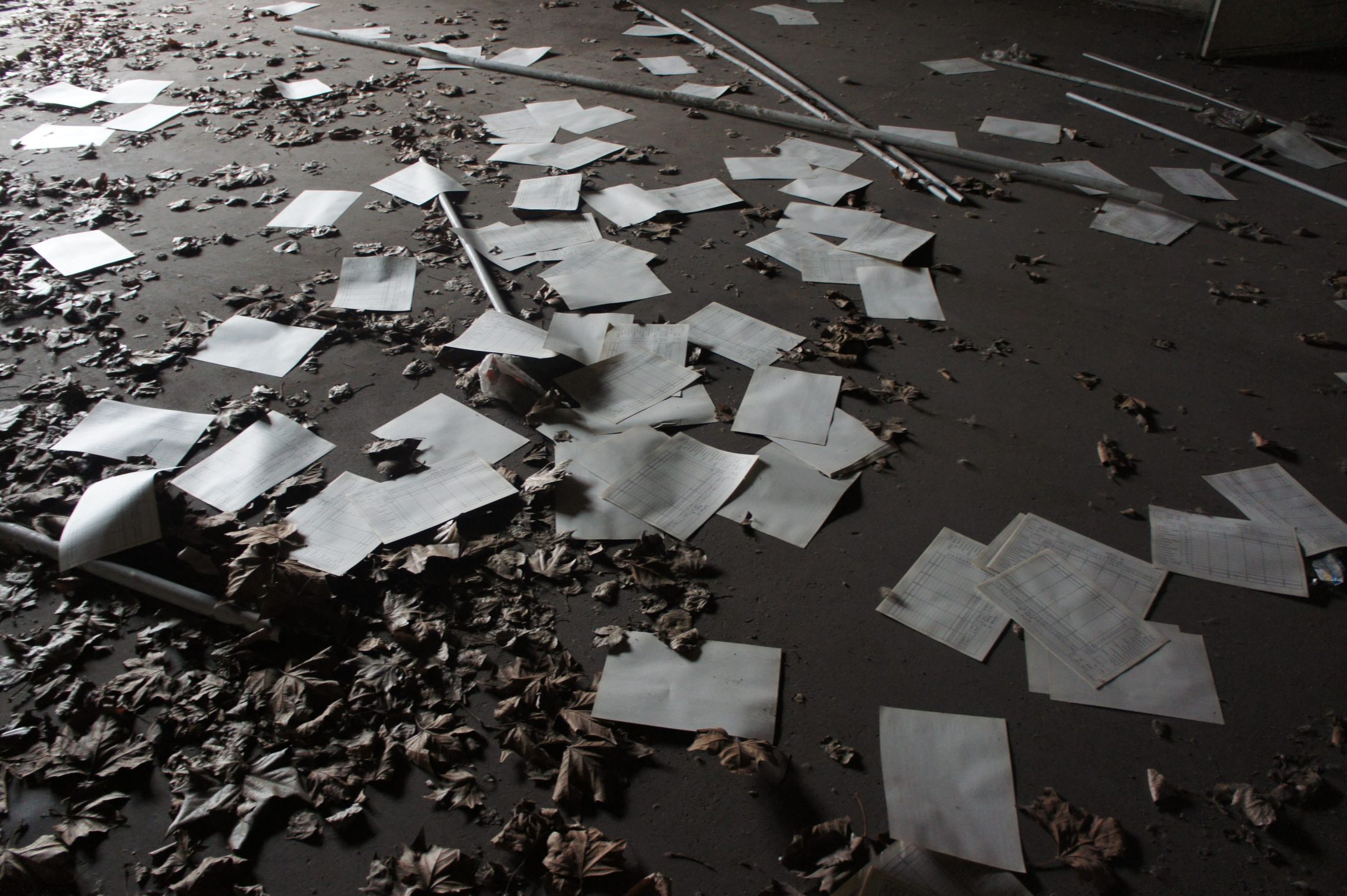 *Poem Automaton*, 2018