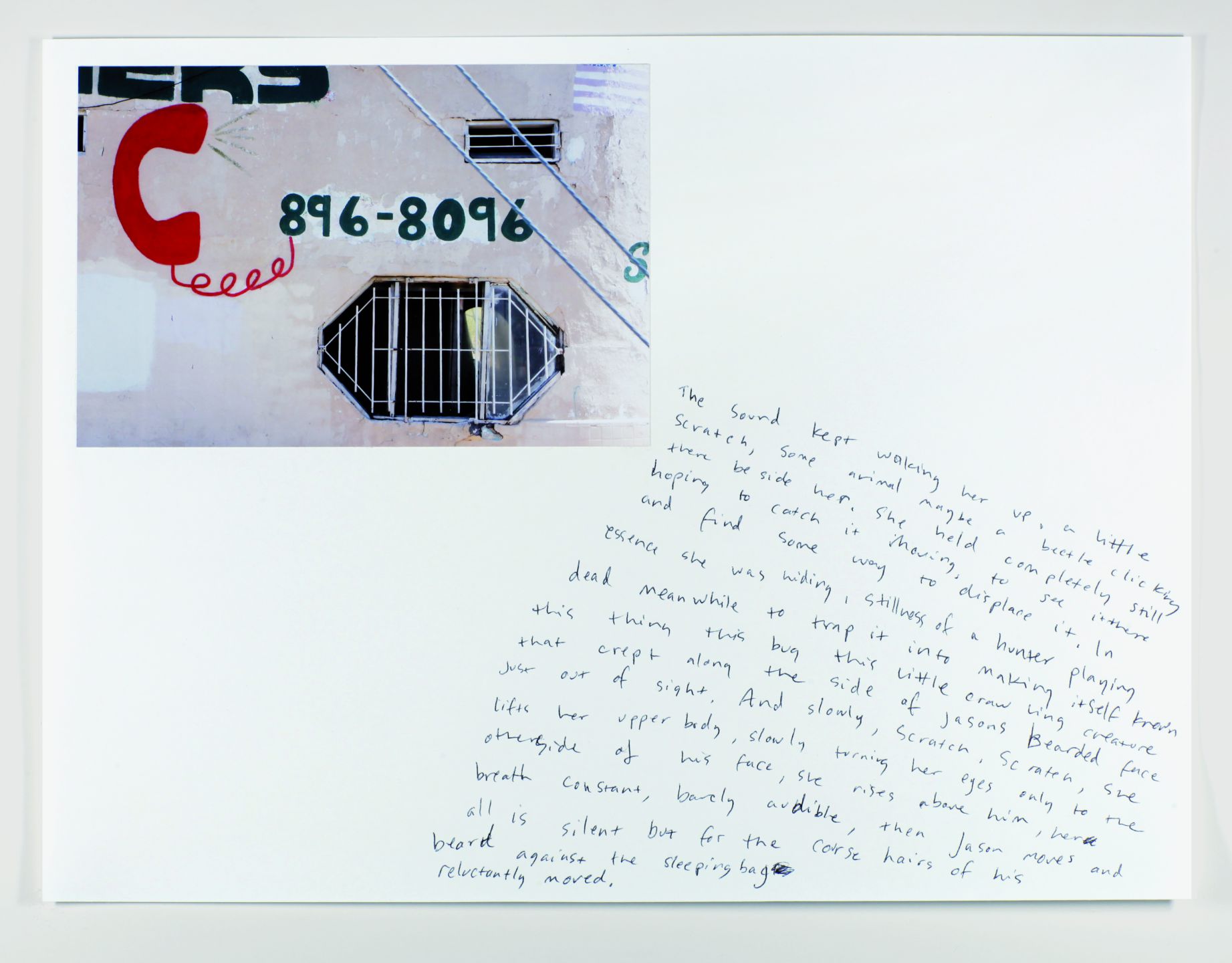 *Sleeping Bag Beard,* 2011, photo and ink on paper, 8.3″ x 11.7″