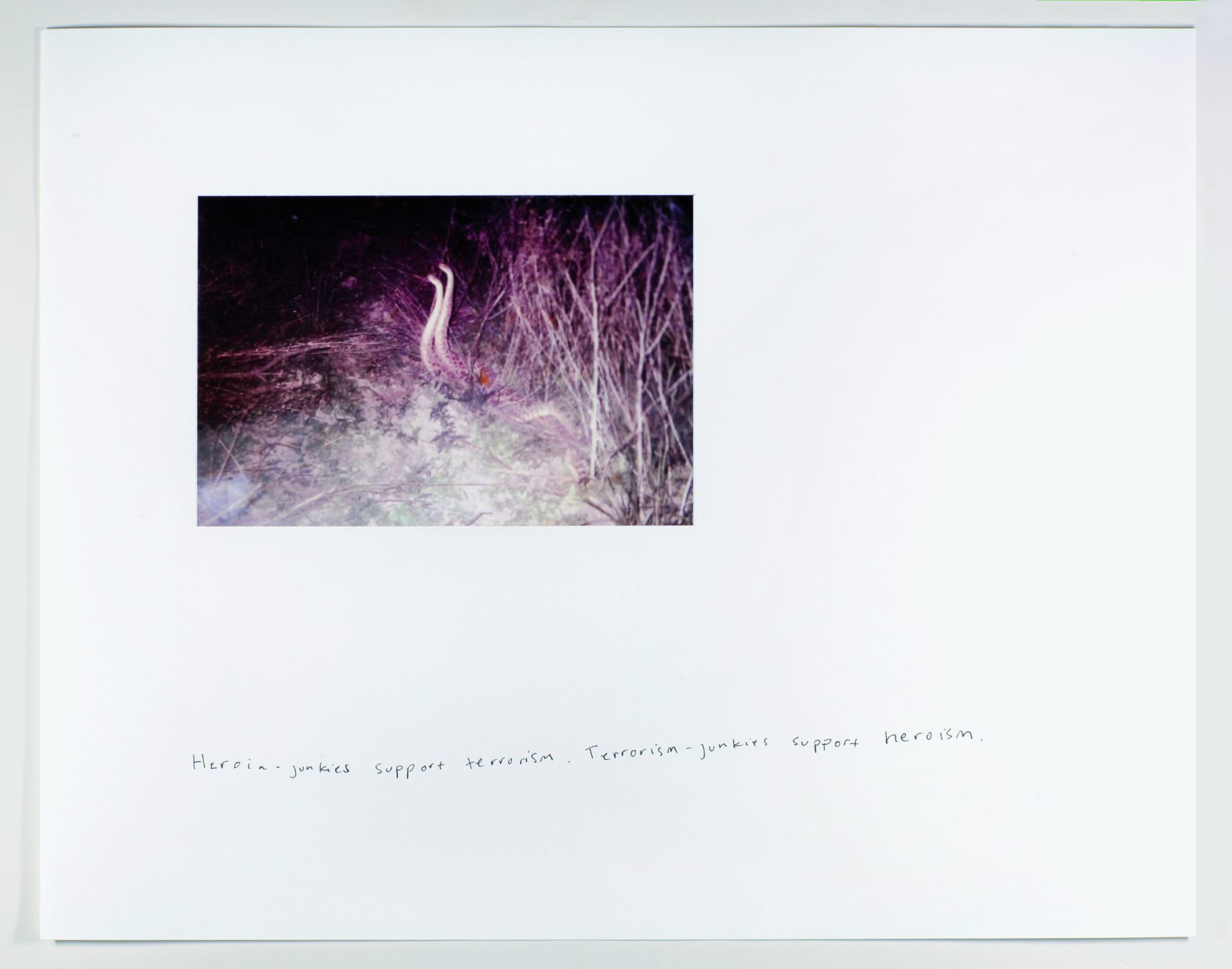 *Propaganda,* 2011, photo and ink on paper, 11.7″ x 16.5″