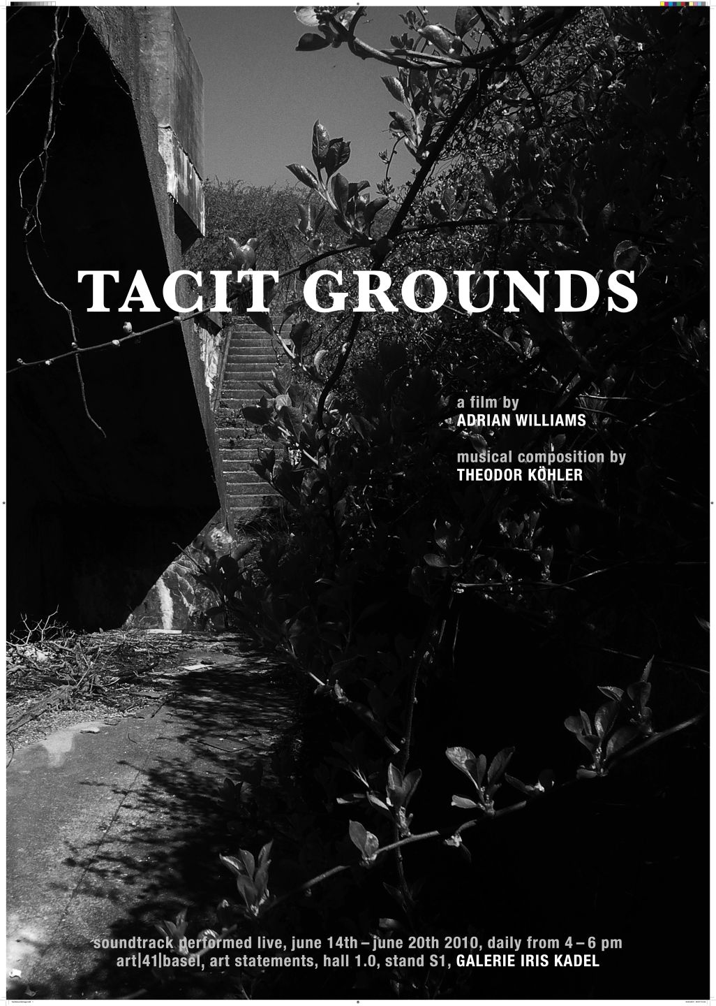 *Tacit Grounds,* 2010 (poster)