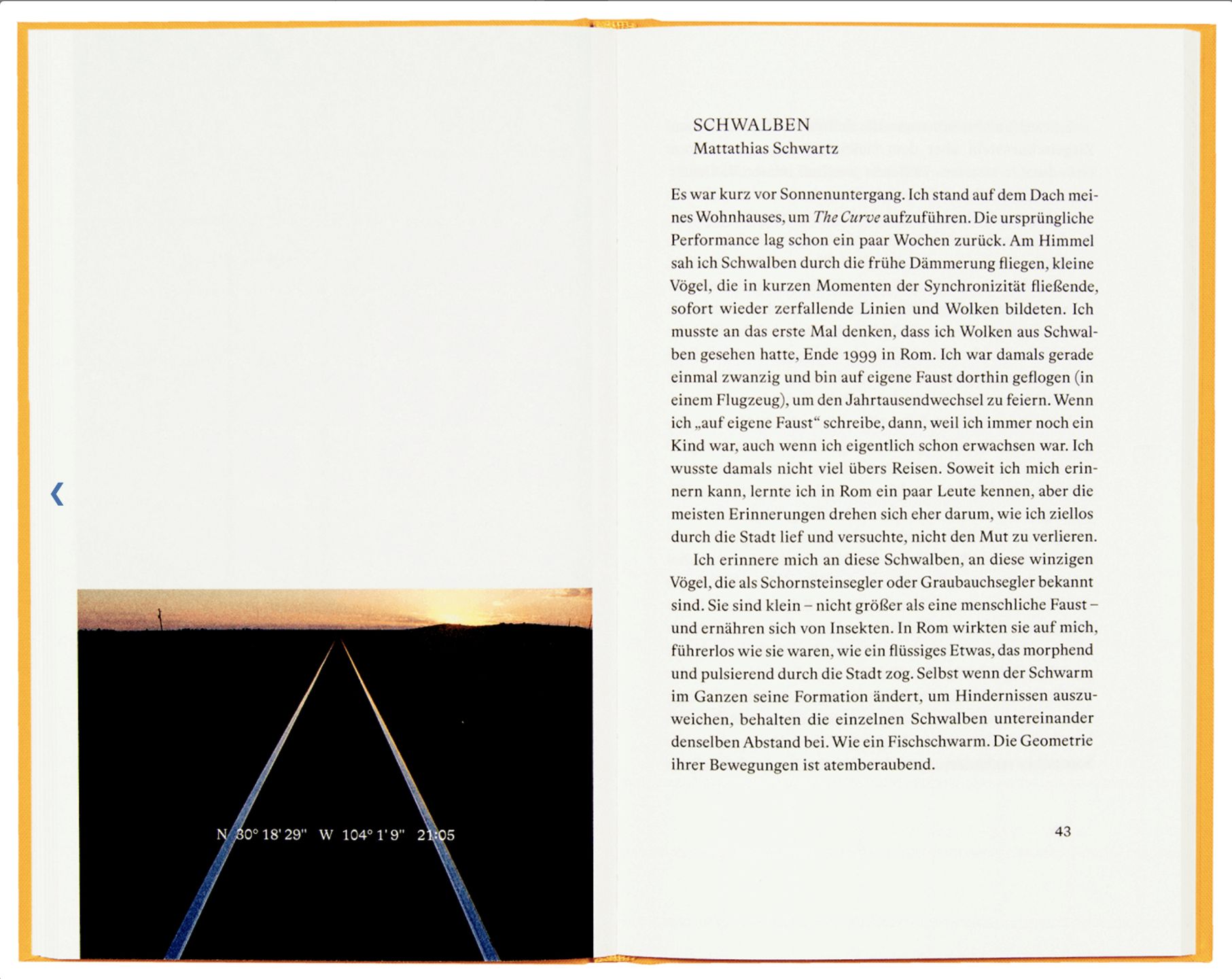 *The Curve.* Berlin: Bom Dia Boa Tarde Boa Noite, 2021. (pp.42-43)