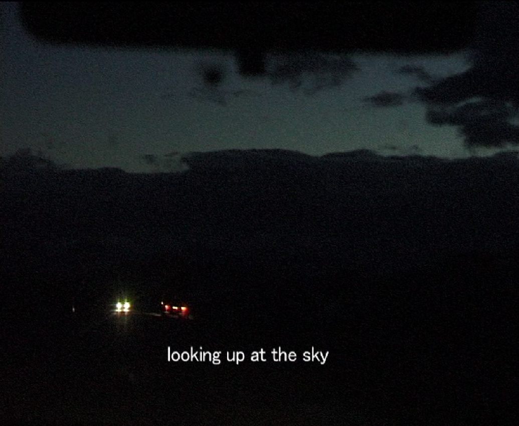 *Two Sisters*, 2011 (still)