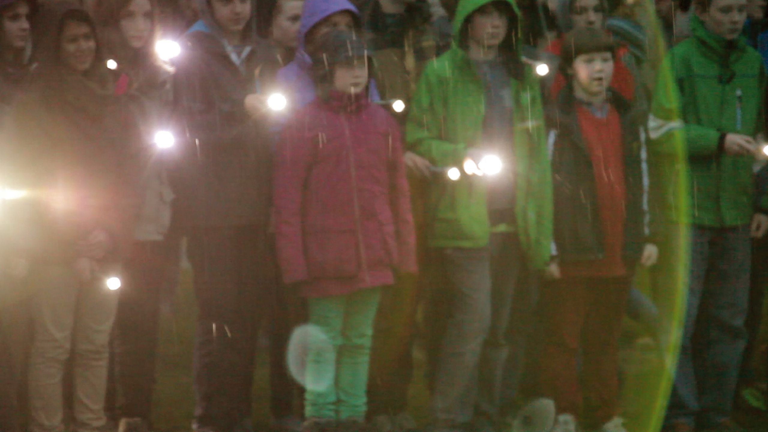 *Watering Hole,* 2013