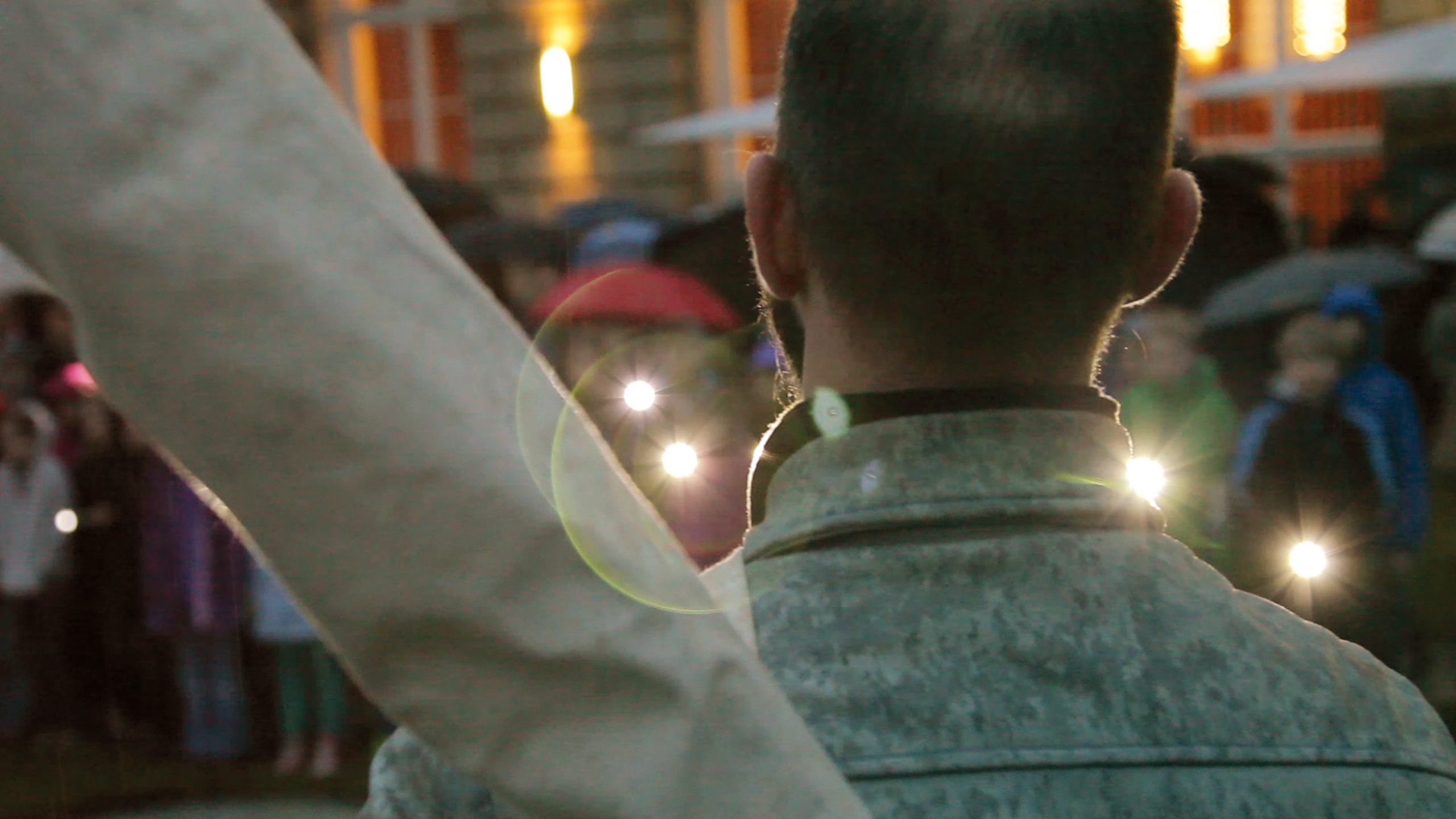 *Watering Hole,* 2013